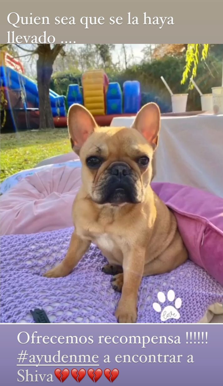 A través de las redes sociales la modelo busca recuperar a Shiva.