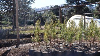 plantas-legislatura-2.jpg