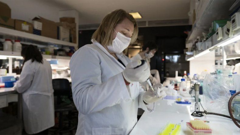 ¿Cómo es la nueva cepa de coronavirus que preocupa al mundo?