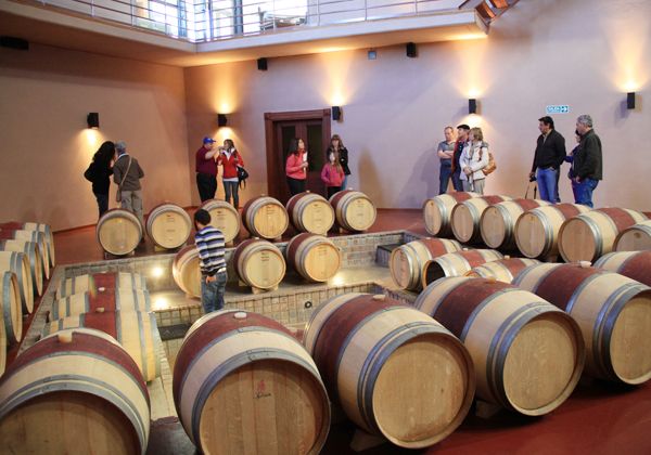 la ruta del vino es una de las grandes atracciones que la provincia de Neuquén sumó en los últimos tiempos. la ruta del vino es una de las grandes atracciones que la provincia de Neuquén sumó en los últimos tiempos.