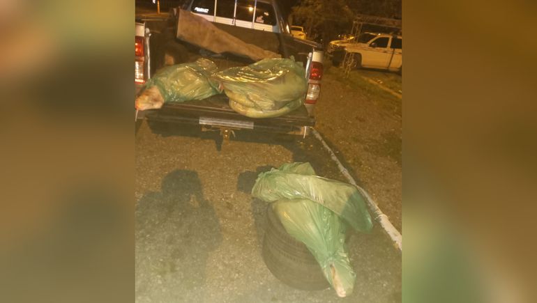 Secuestraron una importante carga de carne vacuna sin habilitación