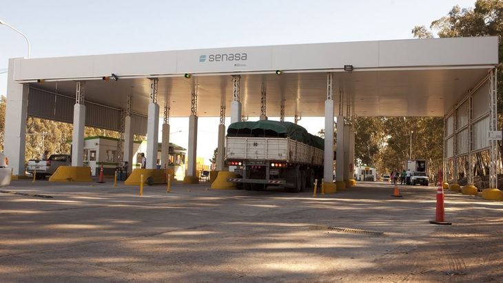 Las autoridades refuerzan los controles y piden extremar precauciones para evitar la reintroducción de la plaga en áreas libres. Las autoridades refuerzan los controles y piden extremar precauciones para evitar la reintroducción de la plaga en áreas libres.