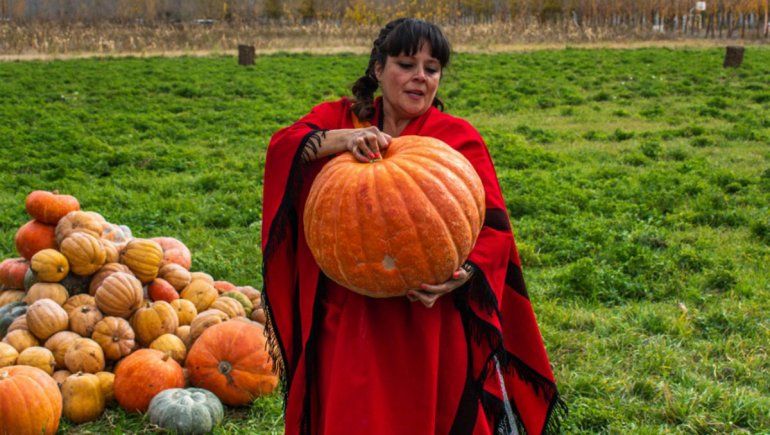 La cultura de la tierra y las huertas de zapallo gigante