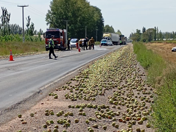 Esta mañana, se registró un nuevo accidente de tránsito sobre ruta 22 tras la perdidas de un cargamento de peras. Esta mañana, se registró un nuevo accidente de tránsito sobre ruta 22 tras la perdidas de un cargamento de peras.