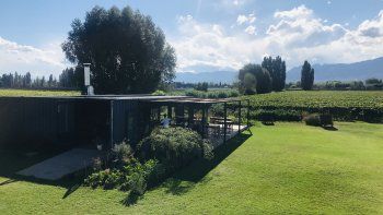 mendoza restaurante