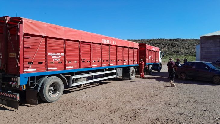 Productores neuquinos inician la descarga de campos para mejorar la resiliencia del pastizal. Productores neuquinos inician la descarga de campos para mejorar la resiliencia del pastizal.