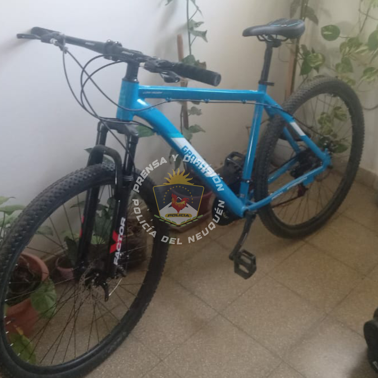 Durante el procedimiento también se recuperó una bicicleta robada. Durante el procedimiento también se recuperó una bicicleta robada.