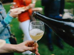 Para un consumidor llano el Sauvignon Blanc es poco conocido. Para un consumidor llano el Sauvignon Blanc es poco conocido.