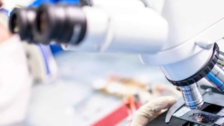 Importante avance en la lucha contra el cáncer