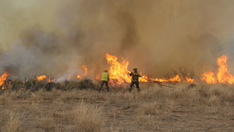 Llamas de tres metros: el duro trabajo de bomberos para apagar un incendio en Centenario