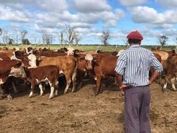 El reajuste contempla subas moderadas frente a la inflación y redefine los mínimos para peones generales y otras categorías rurales. El reajuste contempla subas moderadas frente a la inflación y redefine los mínimos para peones generales y otras categorías rurales.