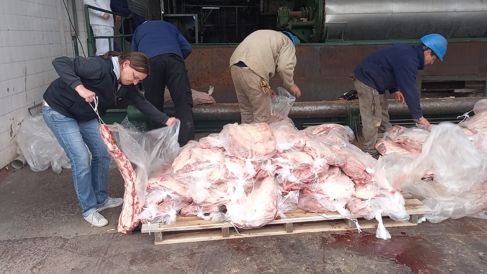 Los decomisos de carne que quieren ingresar de contrabando a la Patagonia crecen a través de los años.