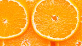 Desde la Cámara de Exportadores de Citrus del NEA alertaron que la suba de costos, la inflación en dólares y la presión impositiva están poniendo en riesgo la rentabilidad y miles de empleos en Entre Ríos. | LM Neuquen Desde la Cámara de Exportadores de Citrus del NEA alertaron que la suba de costos, la inflación en dólares y la presión impositiva están poniendo en riesgo la rentabilidad y miles de empleos en Entre Ríos.