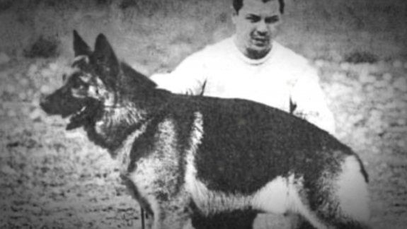 Día Nacional del Perro: por qué se celebra hoy