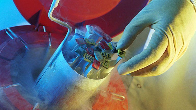 La Justicia francesa ordenó el traslado del semen a España.