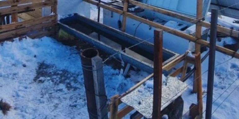 Invento argentino para combatir la ola de frío: crearon un bebedero que evita que se congele el agua
