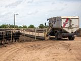 Vacas alimentadas con camiones volquete, una de las postales de la megaproducción de Kansas.