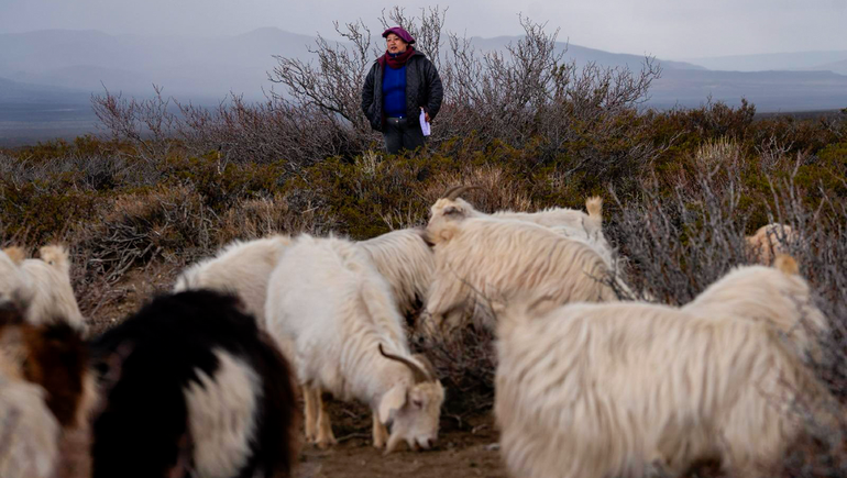 En las jornadas participarán mujeres rurales de toda la provincia.