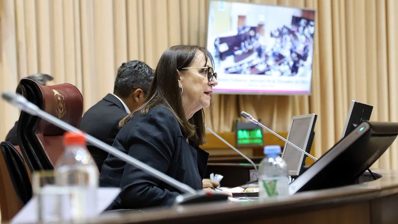 La Legislatura continuará con las mismas autoridades del período 2025. | LM Neuquen La Legislatura continuará con las mismas autoridades del período 2025.