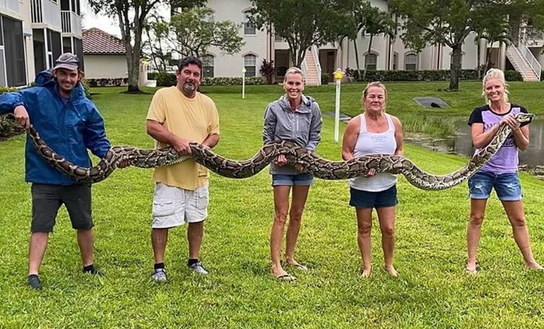 Quiénes son las chicas que cazan pitones gigantes en Florida