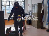 Susto por una amenaza de bomba en el colegio Santa Teresa