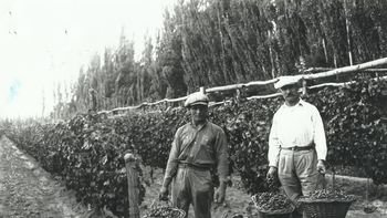 ¡Buen viñedo, buena cosecha! Sin datos del lugar, personas y año - Archivo Cabus Trenes.jpg
