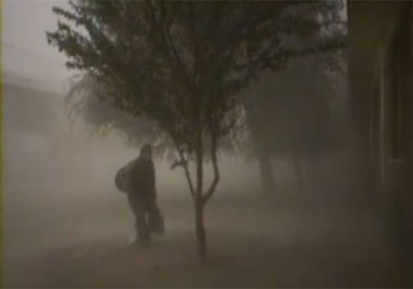 Creativo: así limpia la ceniza de los árboles un hombre en Junín