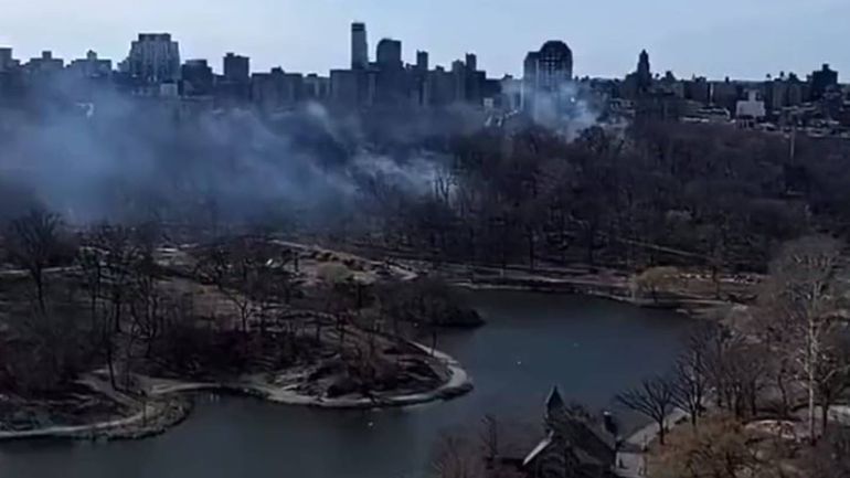 Se incendió el Central Park de Nueva York y aseguraron que el fuego fue intencional