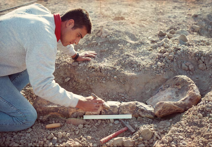 Durante las primeras excavaciones en 2002, se encontraron restos fósiles de un dinosaurio herbívoro de 75 millones de años de antigüedad. Foto: gentileza bodega Familia Schroeder Durante las primeras excavaciones en 2002, se encontraron restos fósiles de un dinosaurio herbívoro de 75 millones de años de antigüedad. Foto: gentileza bodega Familia Schroeder