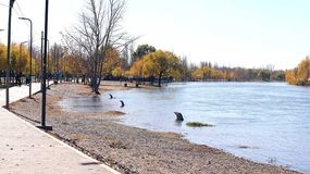 Cómo está ahora el río Limay y por qué creció tanto: la explicación oficial de la AIC | LM Neuquen Cómo está ahora el río Limay y por qué creció tanto: la explicación oficial de la AIC