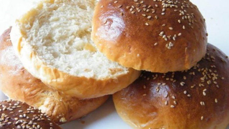 Encuentran ratas entre los panes de una famosa hamburguesería