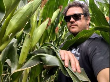 de 8.000 a 17.500 kilos por hectarea: la apuesta al maiz de rio negro de 8.000 a 17.500 kilos por hectarea: la apuesta al maiz de rio negro