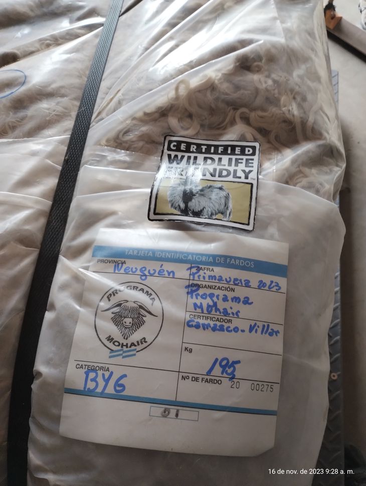La lana certificada el año pasado de los lotes de Meriño. La lana certificada el año pasado de los lotes de Meriño.
