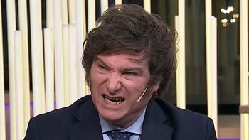 Javier Milei cruzó a los senadores. Javier Milei cruzó a los senadores.