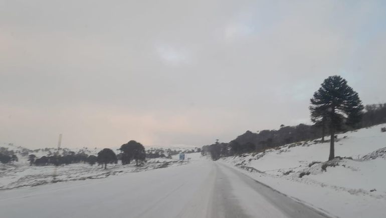 El paso internacional Pino Hachado estará cerrado este martes por temperaturas extremas