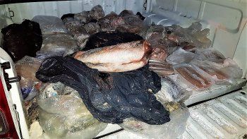 decomisaron cargamentos de citricos, carne y pescado ilegal decomisaron cargamentos de citricos, carne y pescado ilegal