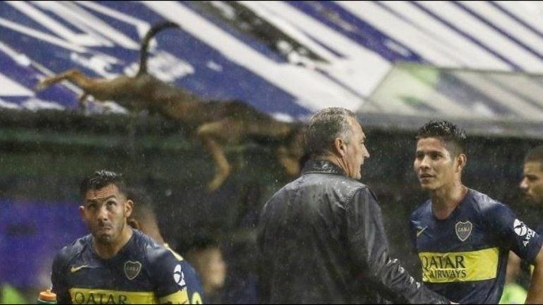 Tiró un perrito a la cancha de Boca desde la tribuna y lo sancionarían 