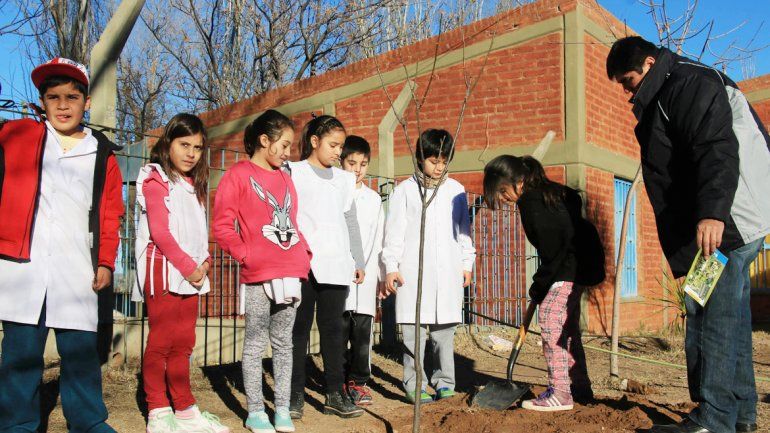 Los chicos plantaron árboles en una escuela del barrio Melipal.