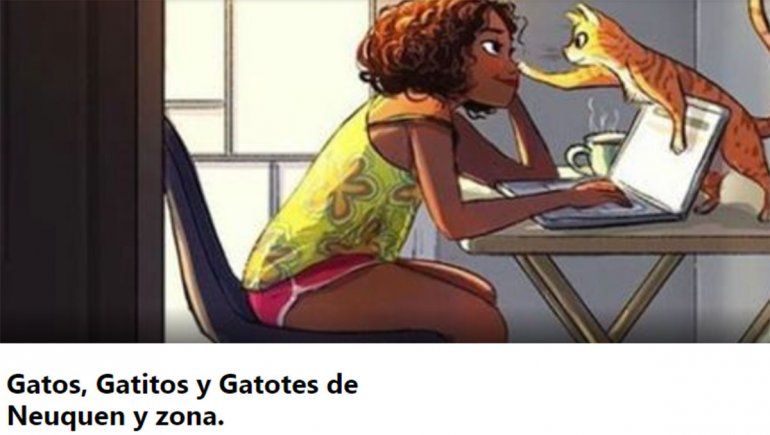 La cofradía que rescata gatos en Neuquén