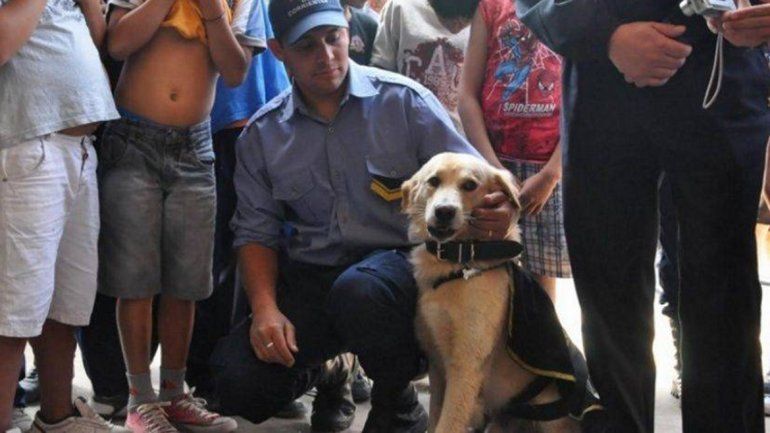 Cartucho, el perro sargento que hizo echar a un comisario