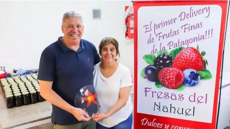 Fresas del Nahuel: de un anafe, a la distinción de la provincia de Neuquén | LM Neuquen Fresas del Nahuel: de un anafe, a la distinción de la provincia de Neuquén
