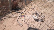 tres detenidos por robar cables a empresa en parque industrial