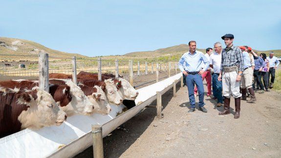 Una tarjeta del BPN para el sector agropecuario
