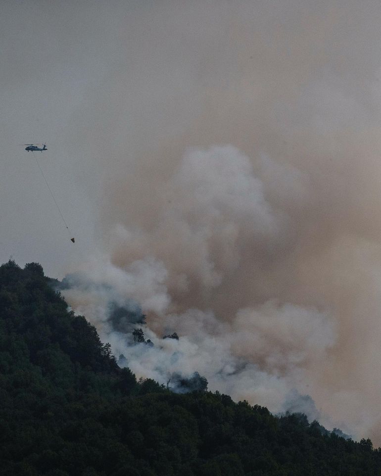 Múltiples focos de incendio en el Parque Nacional Lanín: cuál es la situación