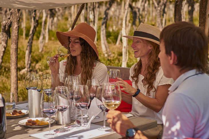 La experiencia incluye siempre la opción de recorrer las instalaciones y conocer sus producciones. La experiencia incluye siempre la opción de recorrer las instalaciones y conocer sus producciones.