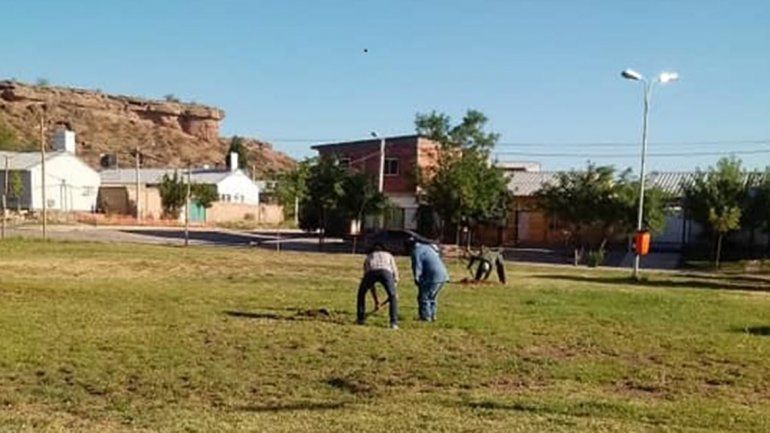 La plaza cuenta con más de 60 árboles de diversos tipos.&nbsp;