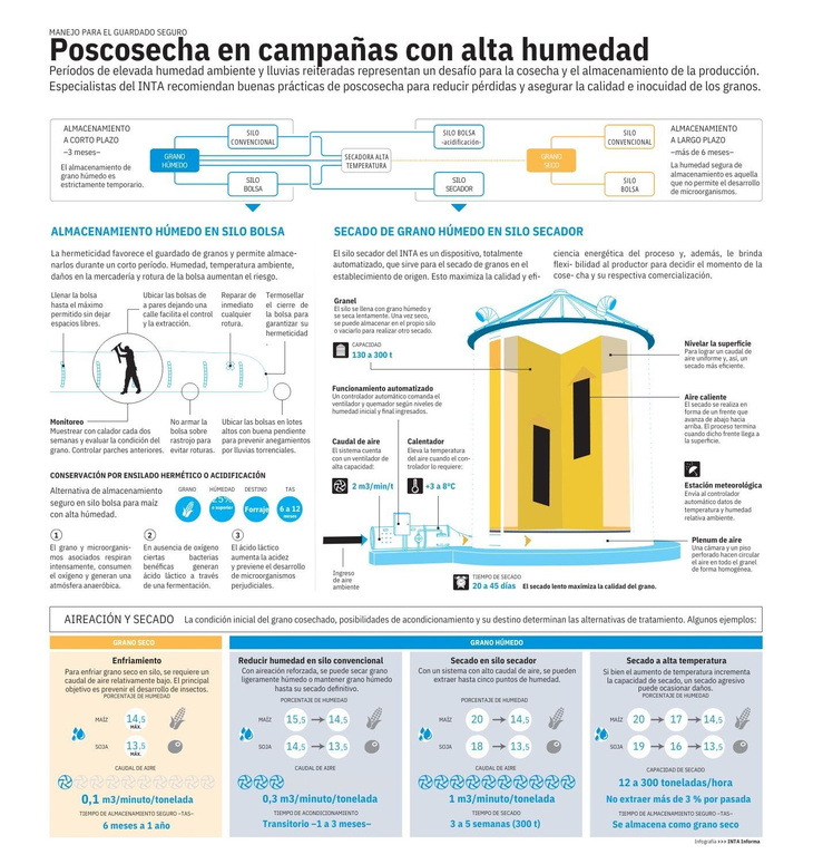 Cosecha y almacenamiento son los dos grandes desafíos del ciclo productivo del maíz. Infografía: INTA Cosecha y almacenamiento son los dos grandes desafíos del ciclo productivo del maíz. Infografía: INTA