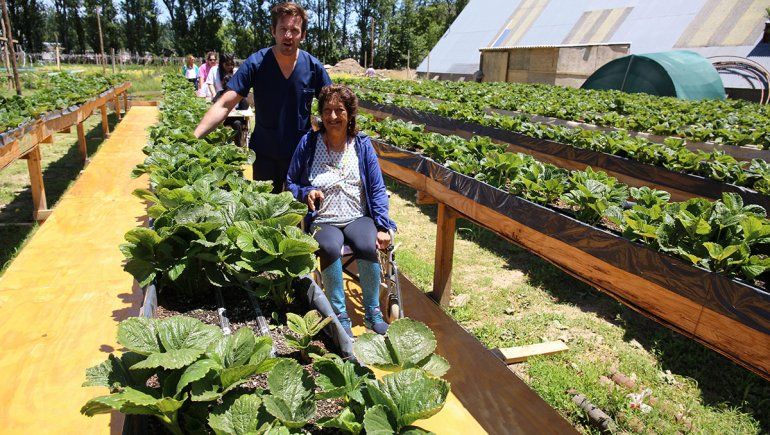En el Puesto de Plottier todos pueden aprender a cultivar