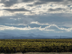 Panorámica de Valle de Uco. Panorámica de Valle de Uco.