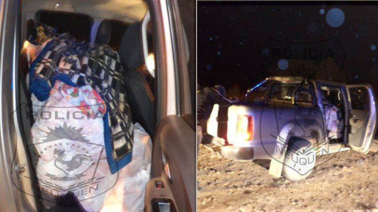 Llevaban 40 chivos y los detuvieron  en las rutas 7 y 151